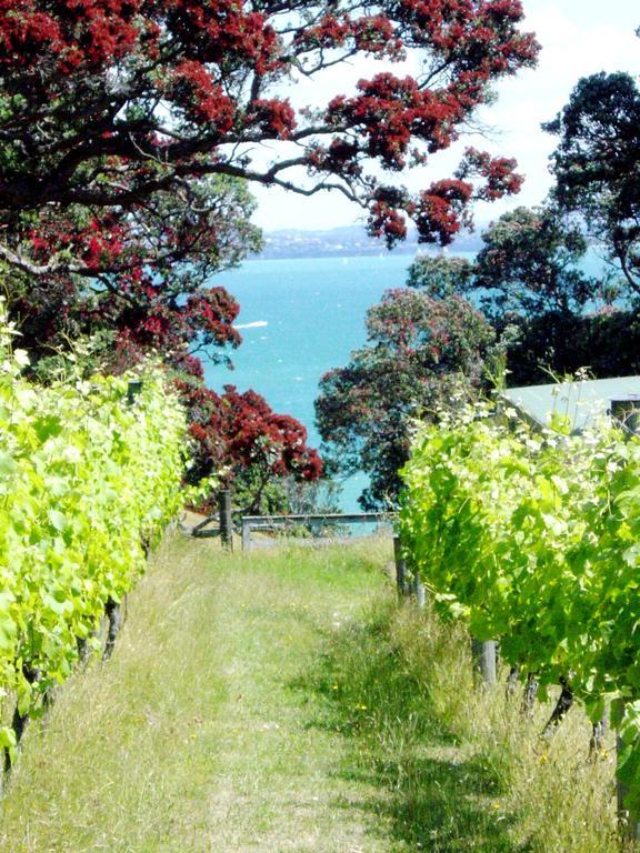 Waiheke Island Vineyard Holiday Houses Surfdale Exterior photo